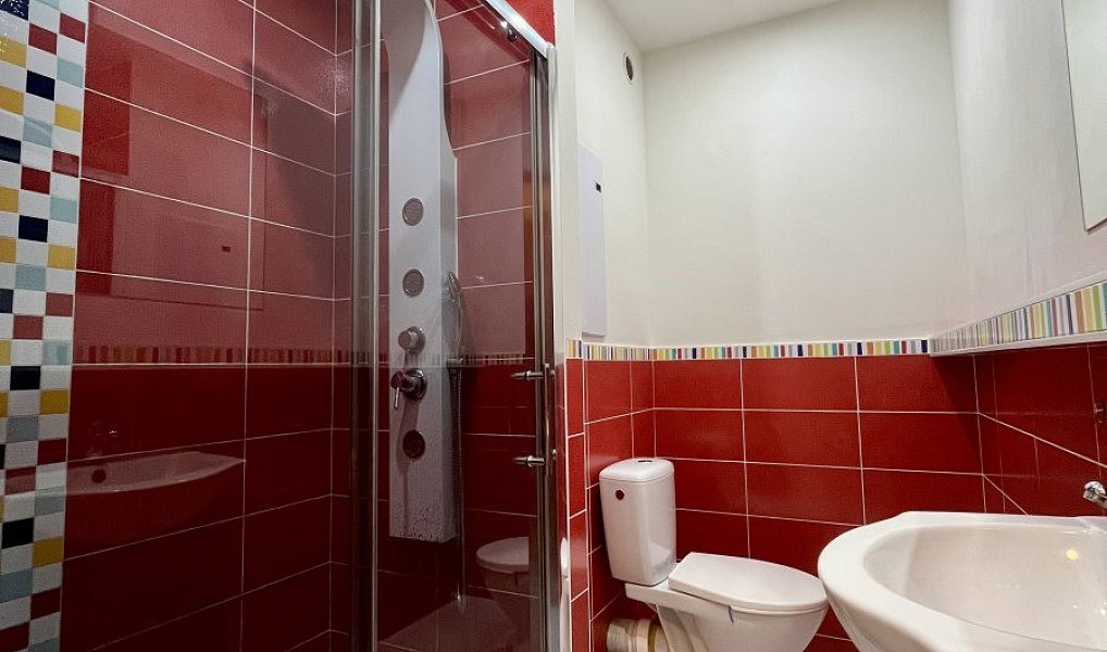 Pronájem bytu 1+1 31 m², Ostrava – náhled fotky 12