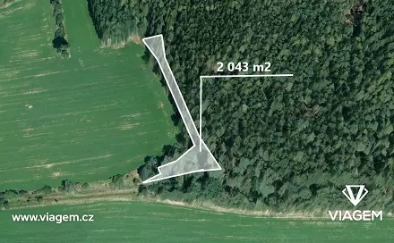 Prodej lesa 510 m², Choustník, okres Tábor