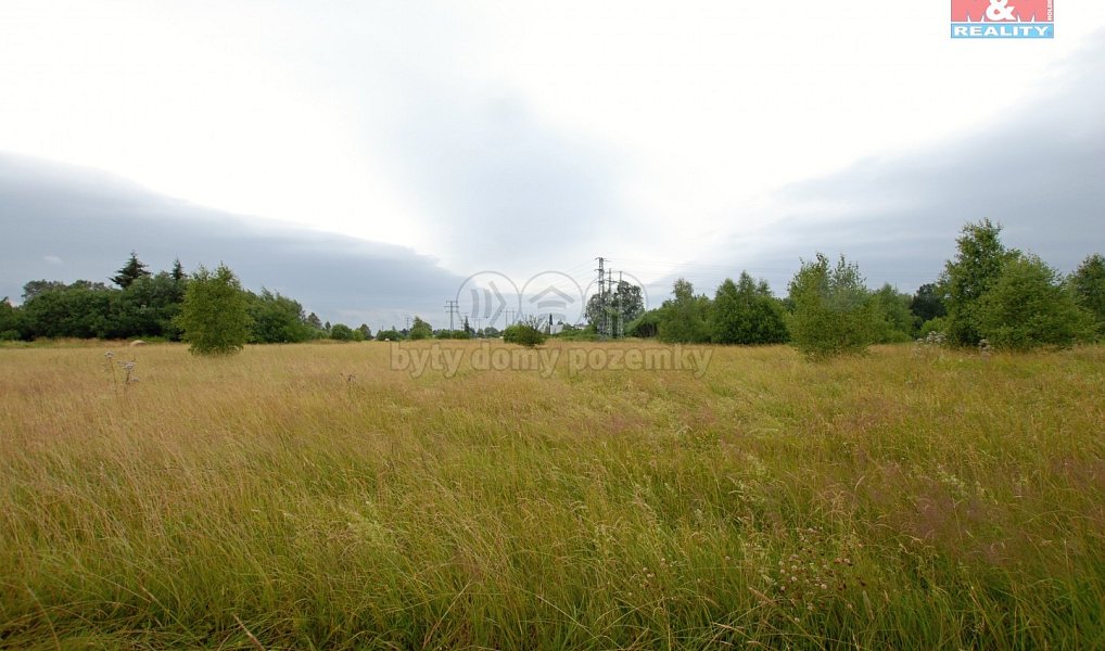 Prodej pozemku 12 000 m², Mariánské Lázně – náhled fotky 2