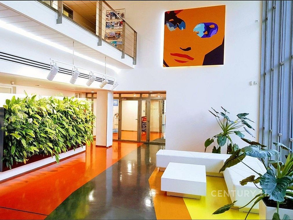 Pronájem kanceláře 250 m² – fotografie 2