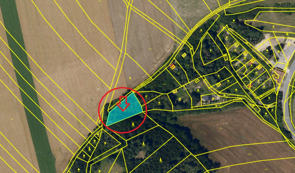 Prodej lesa 1 331 m², Skuteč – náhled fotky 3