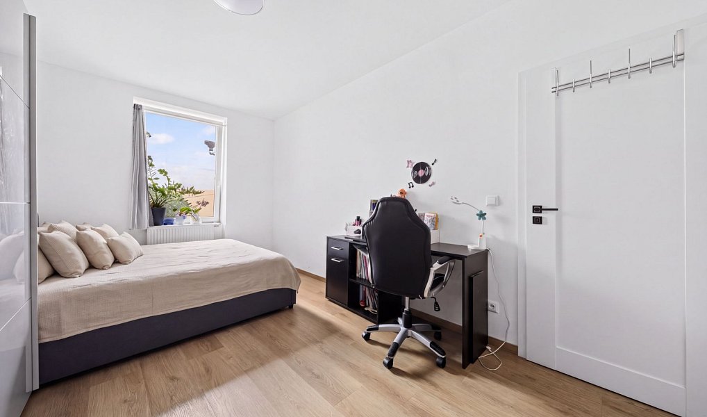 Prodej domu 381 m² s pozemkem 261 m², Plzeň – náhled fotky 3
