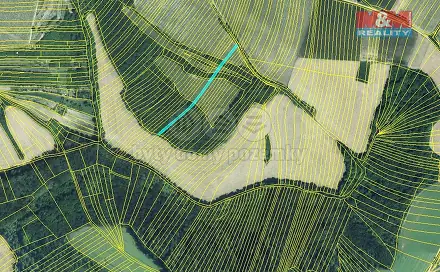 Prodej lesa 553 m², Křepice, okres Břeclav