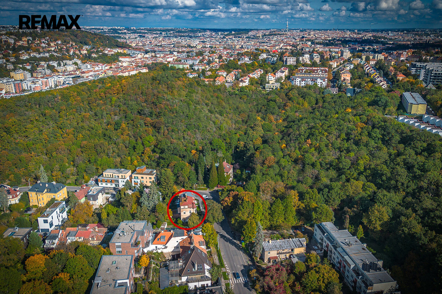 Prodej komerčního objektu (jiného typu) 269 m² — photo 2
