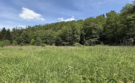 Prodej louky 3 200 m², Bílovice nad Svitavou, okres Brno-venkov