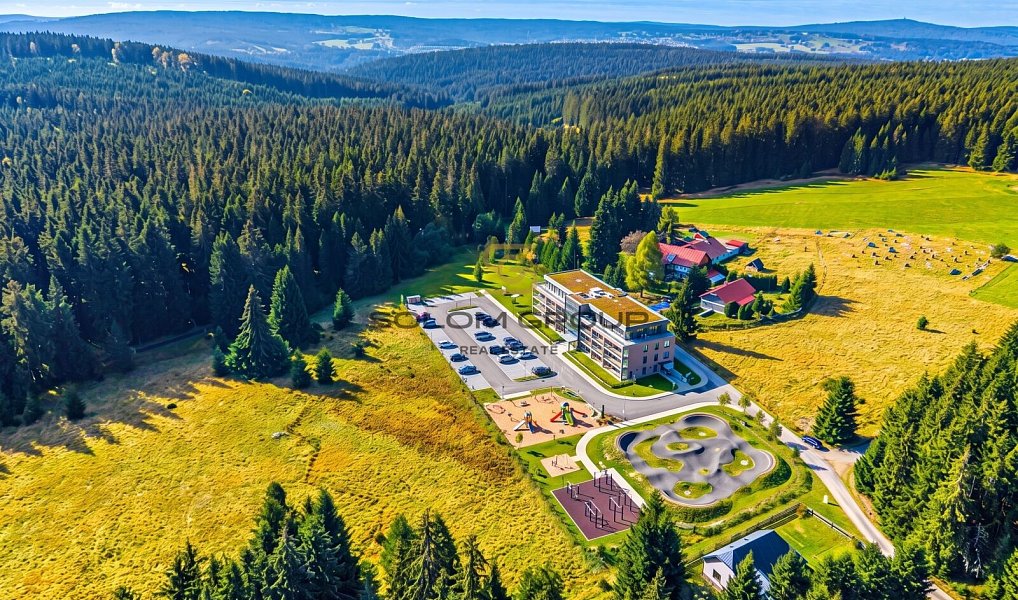 Prodej komerčního pozemku 10 387 m², Potůčky – náhled fotky 7
