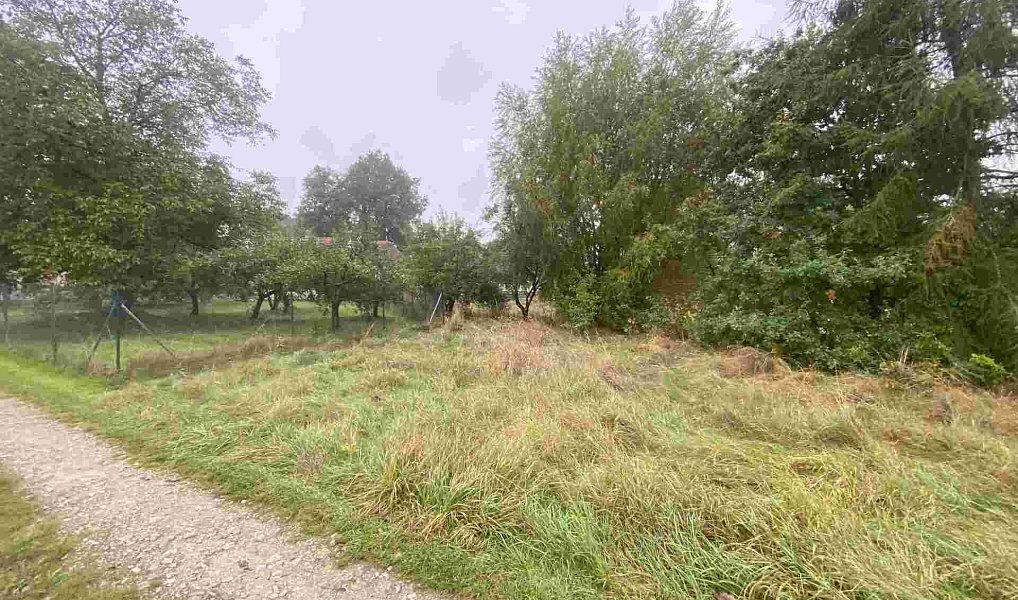Prodej stavebního pozemku 588 m², Dolní Bukovsko – fotka 1 z 7