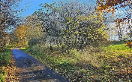 Prodej stavebního pozemku 1 000 m², Zbinohy, okres Jihlava