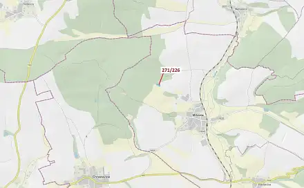 Dražba lesa 1 643 m², Milavče