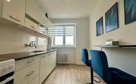 Pronájem bytu 2+1 52 m², Palackého, Cheb