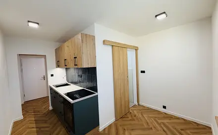 Prodej bytu 1+1 38 m², Lumírova, Ostrava - Výškovice