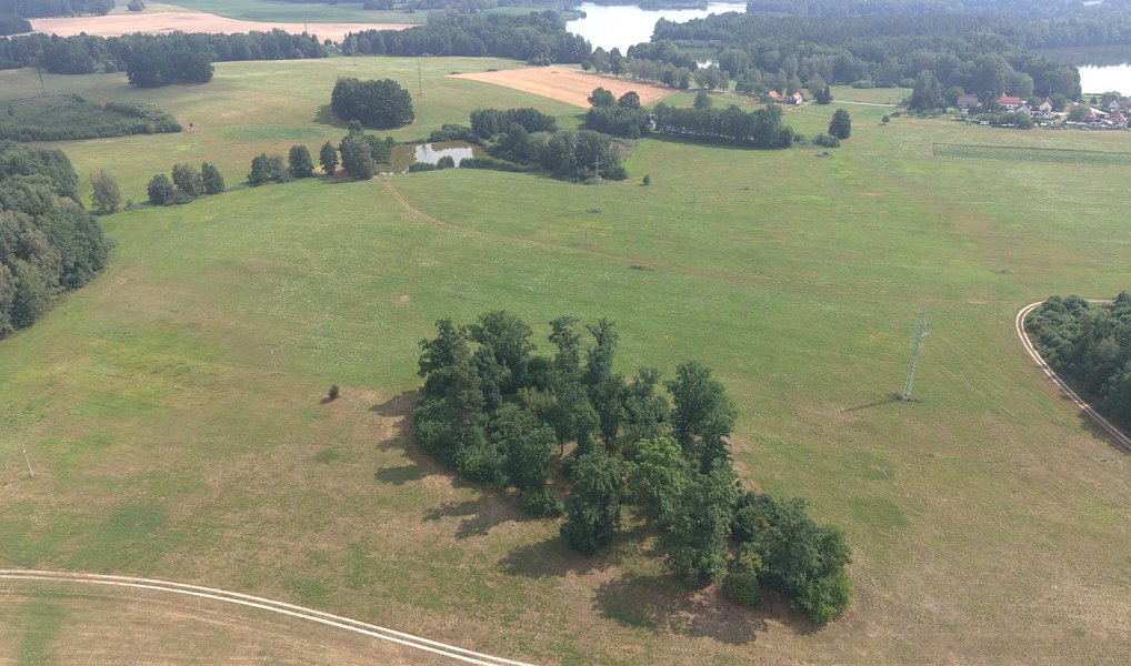 Prodej lesa 360 000 m², Chlum u Třeboně – náhled fotky 7