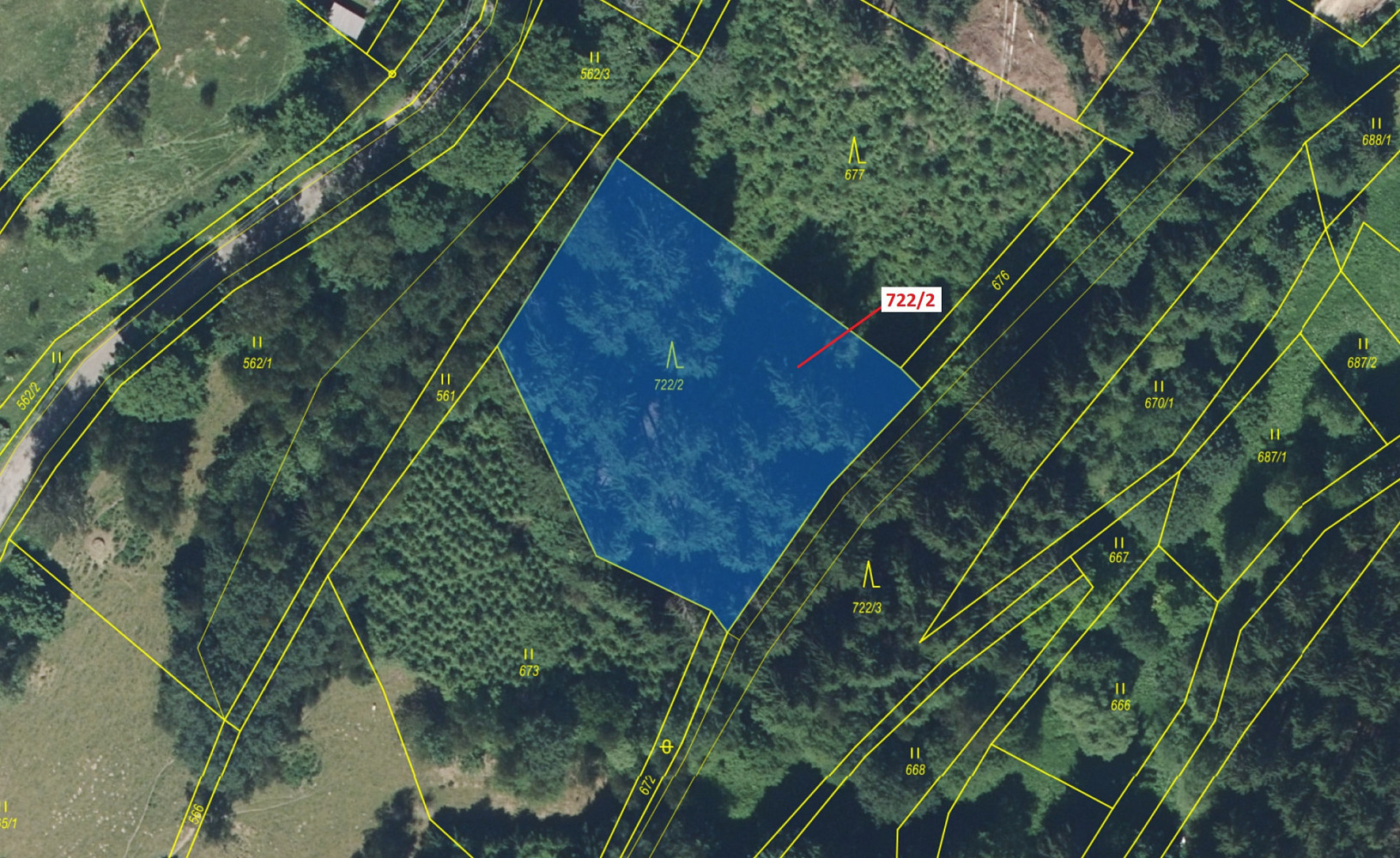 Dražba lesa 2 620 m² — photo 2