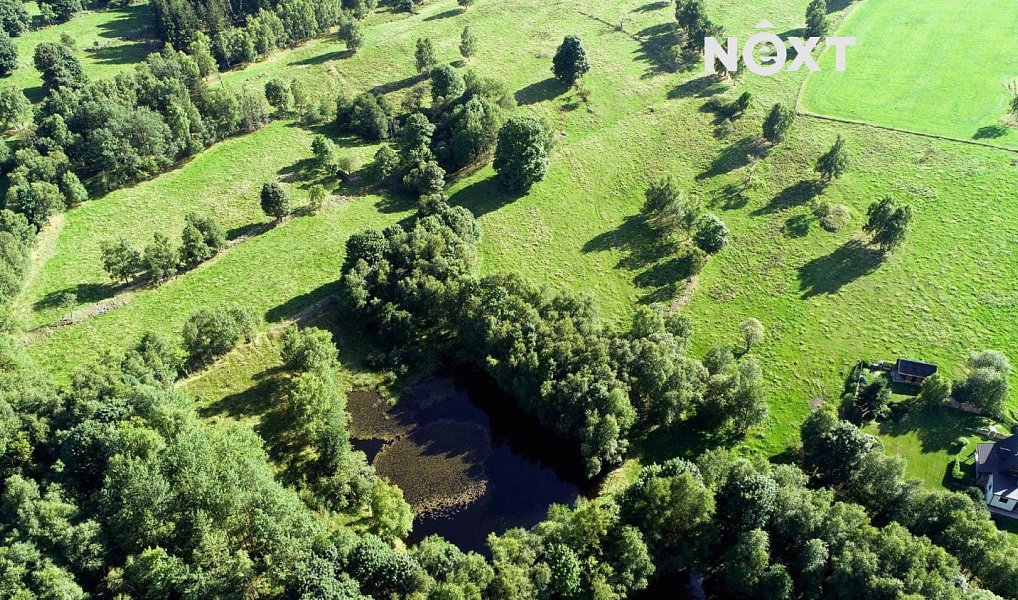 Prodej louky 68 906 m², Hora Svaté Kateřiny – náhled fotky 6