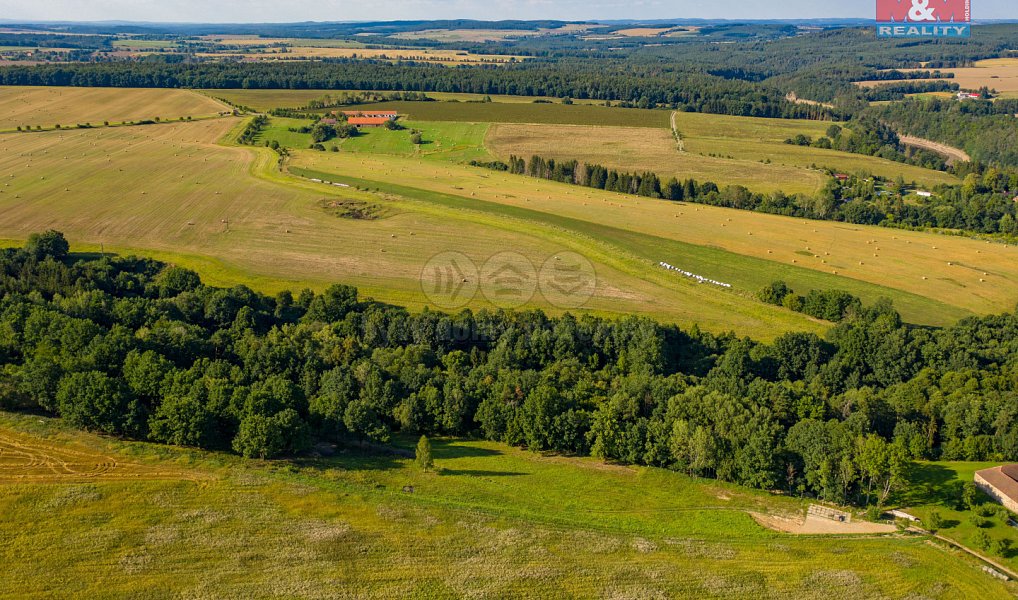 Prodej louky 6 183 m², Albrechtice nad Vltavou – náhled fotky 5