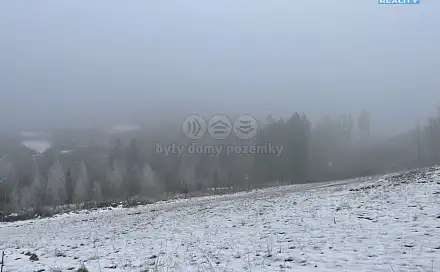 Prodej lesa 8 638 m², Železný Brod, okres Jablonec nad Nisou