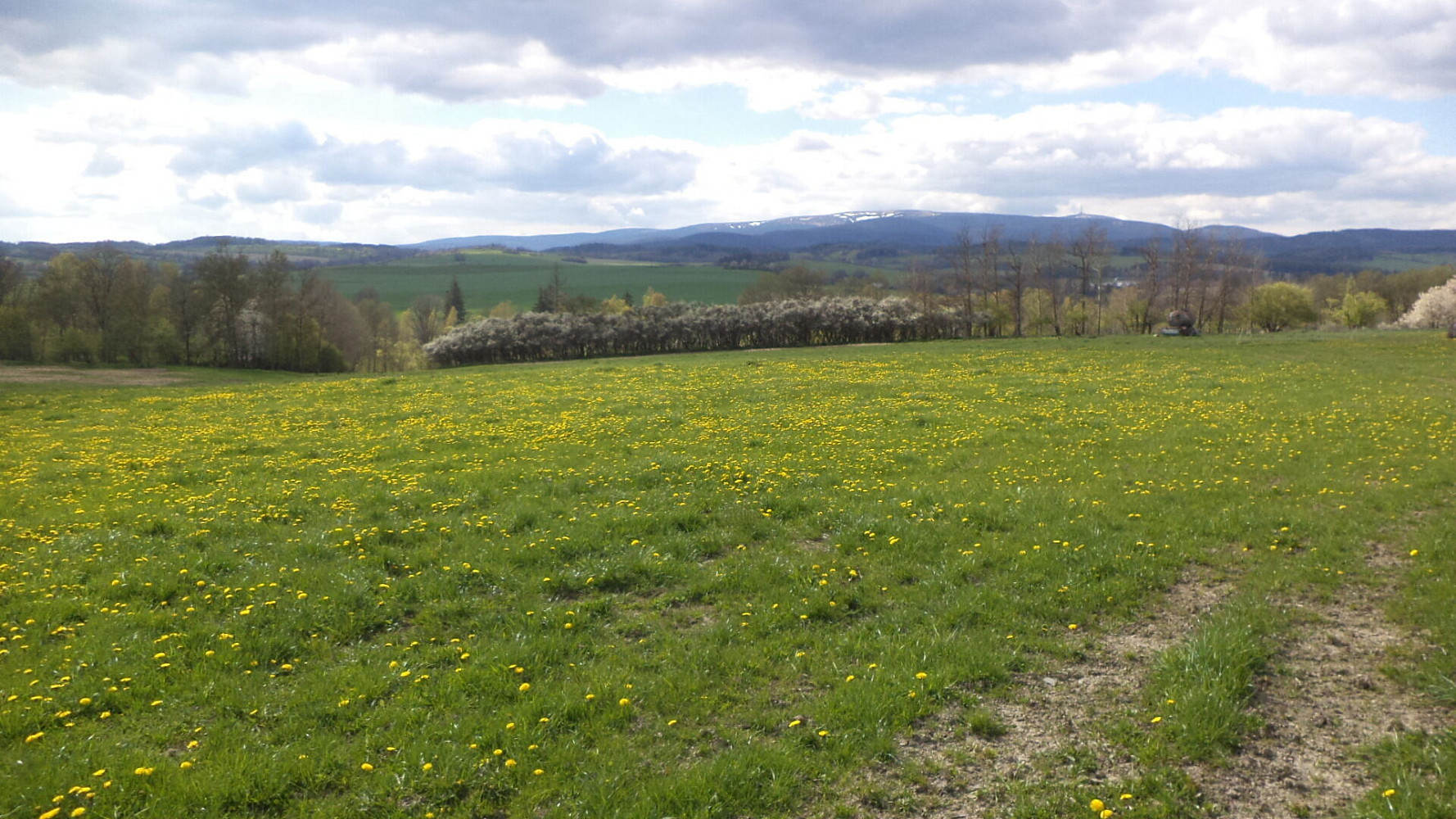 Prodej pozemku 10 063 m²