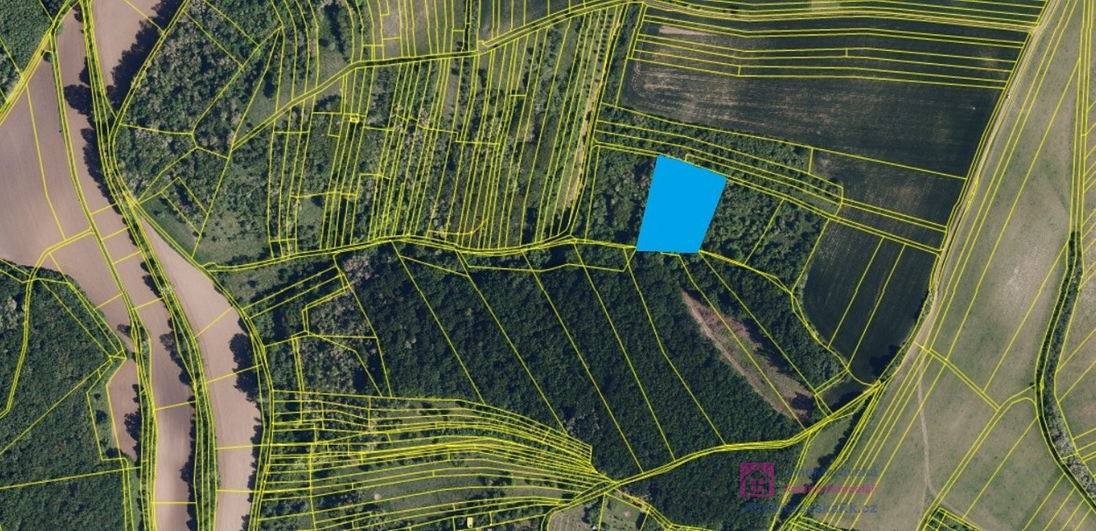 Prodej lesa 4 858 m² – fotografie 5