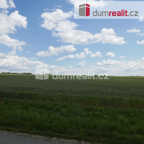 Prodej pole 11 679 m² – fotografie 5
