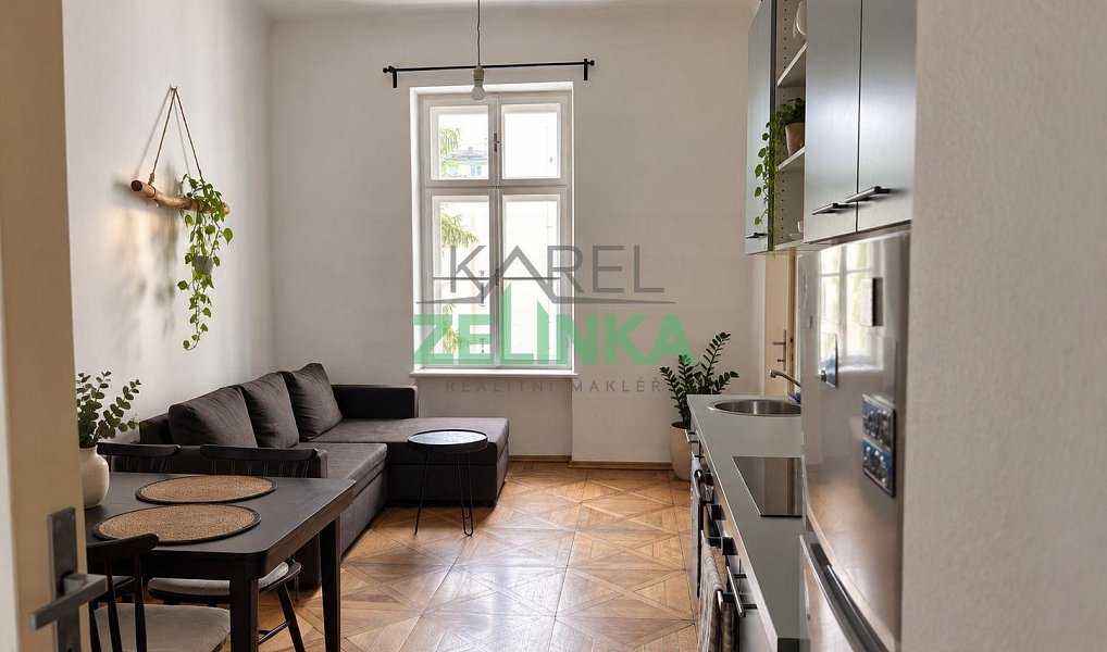 Pronájem bytu 1+1 40 m², Praha – náhled fotky 2