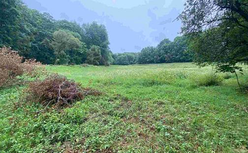 Prodej pozemku 3 000 m², Úterý - Vidžín, okres Plzeň-sever