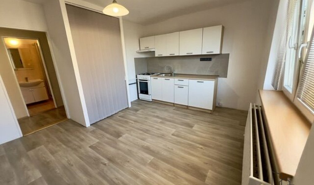 Pronájem bytu 1+1 35 m², Hodonín – fotka 1 z 7