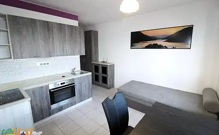 Pronájem bytu 1+1 36 m²