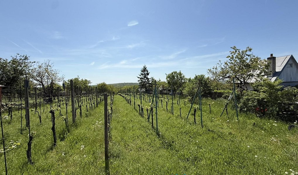 Prodej zahrady 879 m², Dobšice – náhled fotky 6