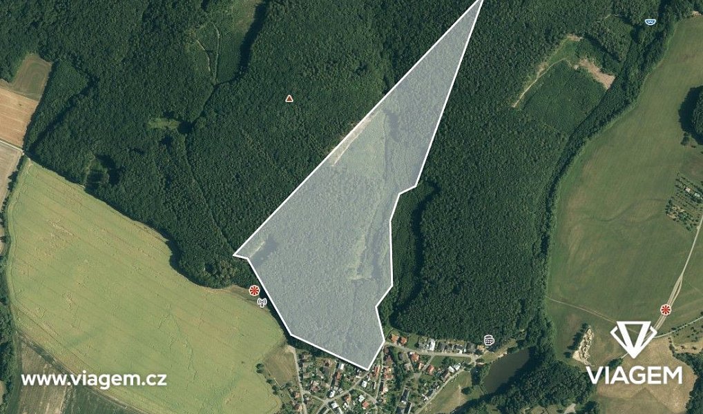 Prodej lesa 5 483 m², Fryšták – náhled fotky 3