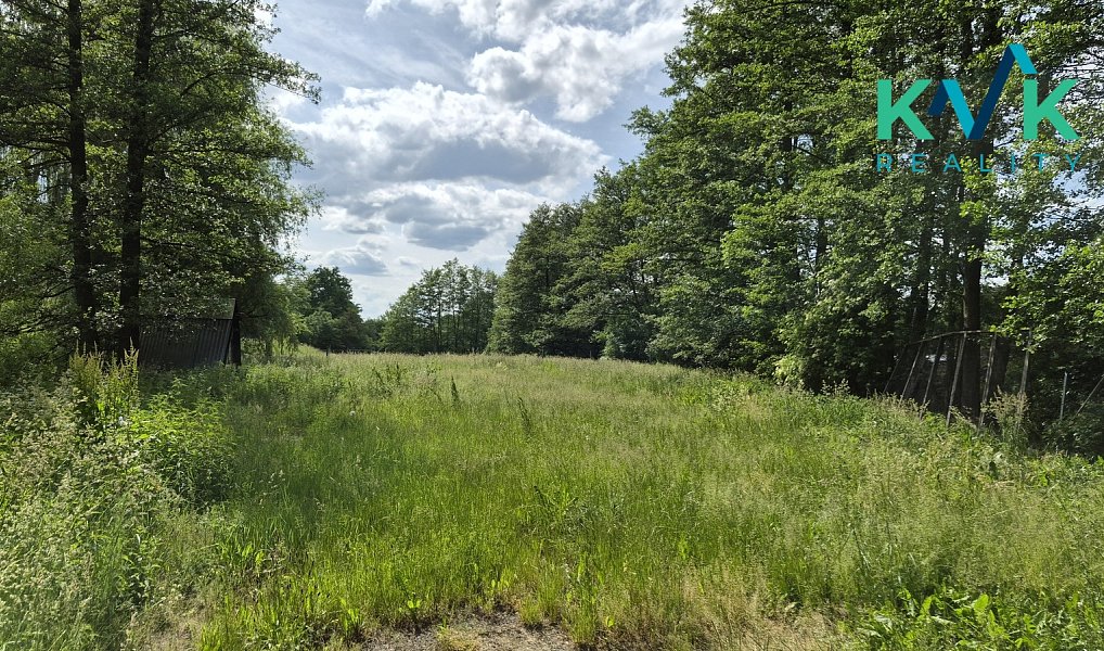 Pronájem zahrady 3 000 m², Sadov – náhled fotky 3