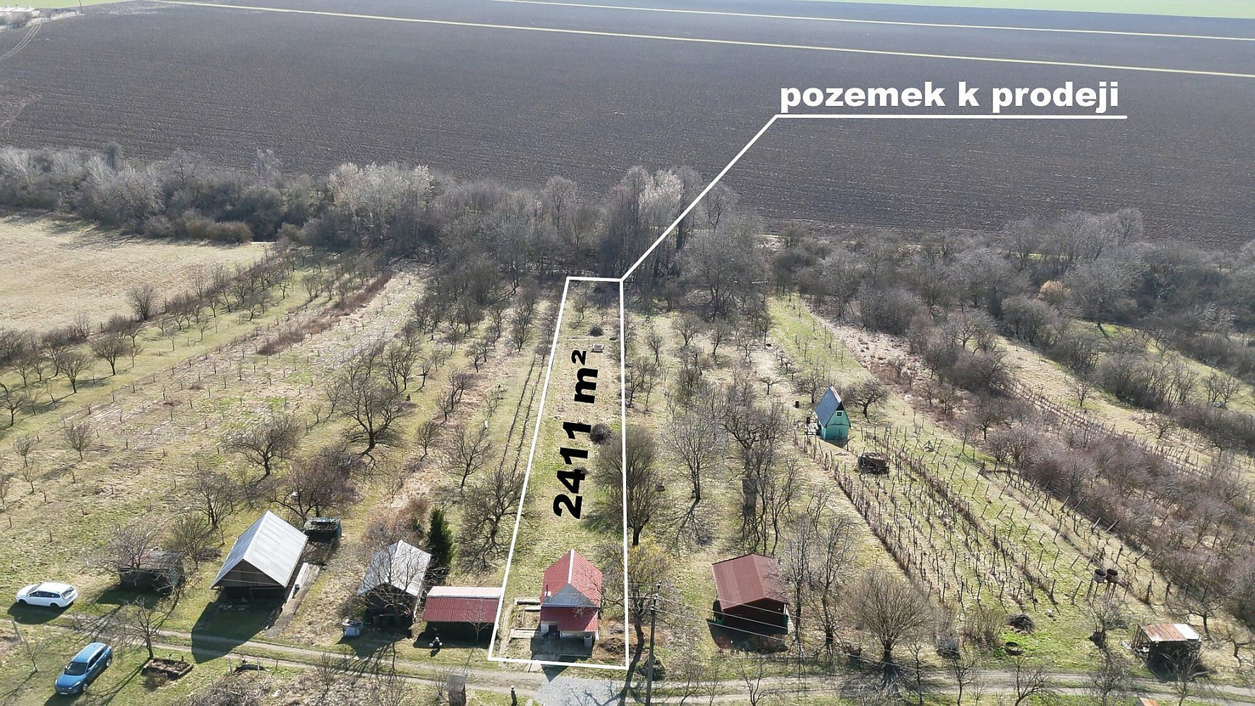 Fotka 12 z 12