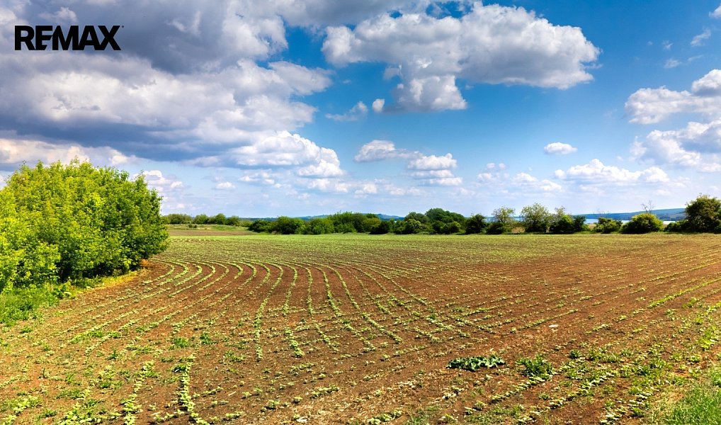 Prodej pole 72 617 m², Pouzdřany – náhled fotky 4