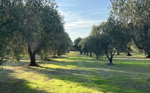 Prodej stavebního pozemku 8 900 m², Mandurie, Apulie, Itálie