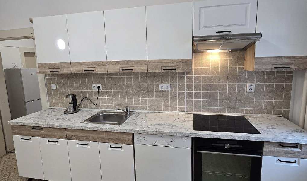 Pronájem domu 70 m² s pozemkem 335 m², Plzeň – náhled fotky 3