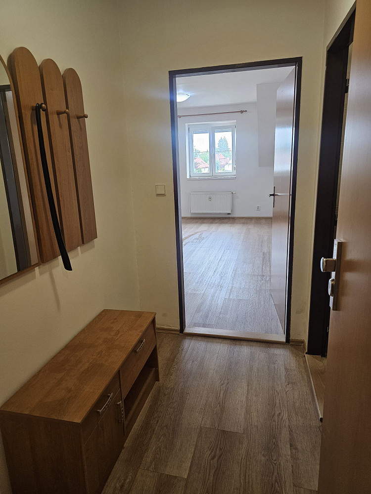 Pronájem bytu 2+kk 46 m² — photo 2