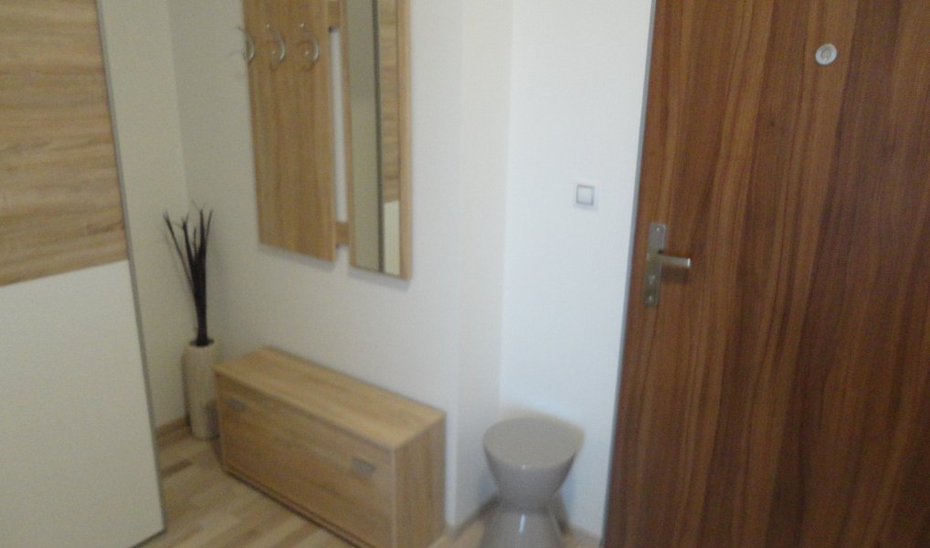 Pronájem bytu 1+kk 45 m², Brno – náhled fotky 6