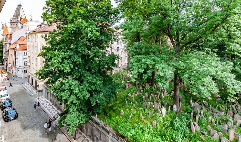 Prodej bytu 3+kk 102 m², Praha – náhled fotky 17
