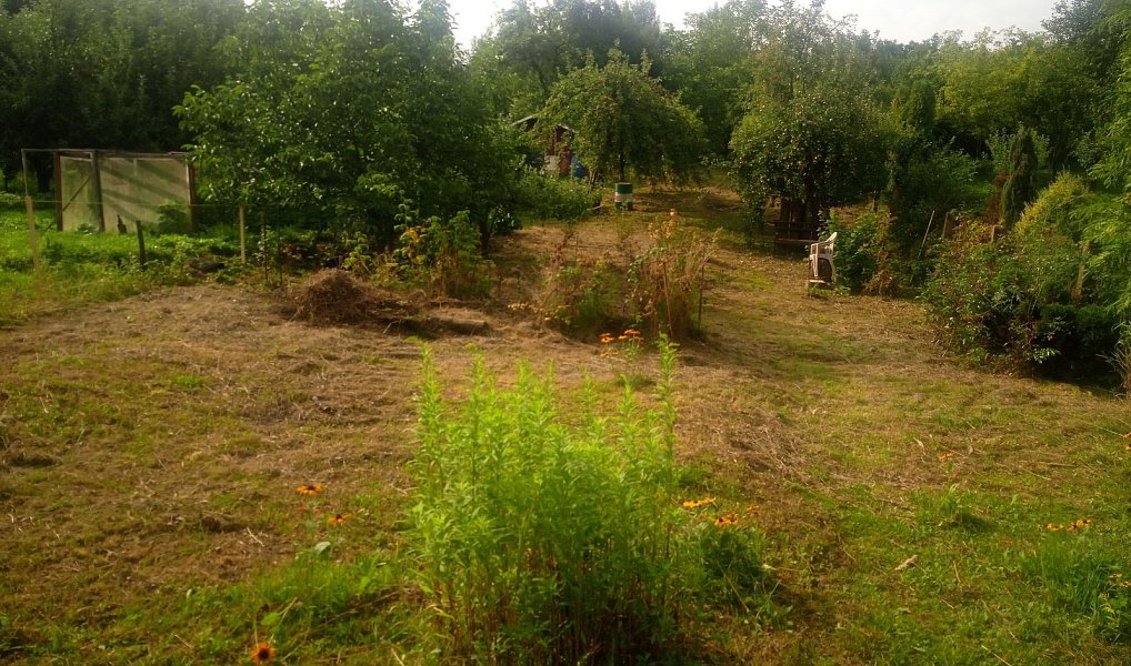 Prodej zahrady 655 m², Ráječko – náhled fotky 3