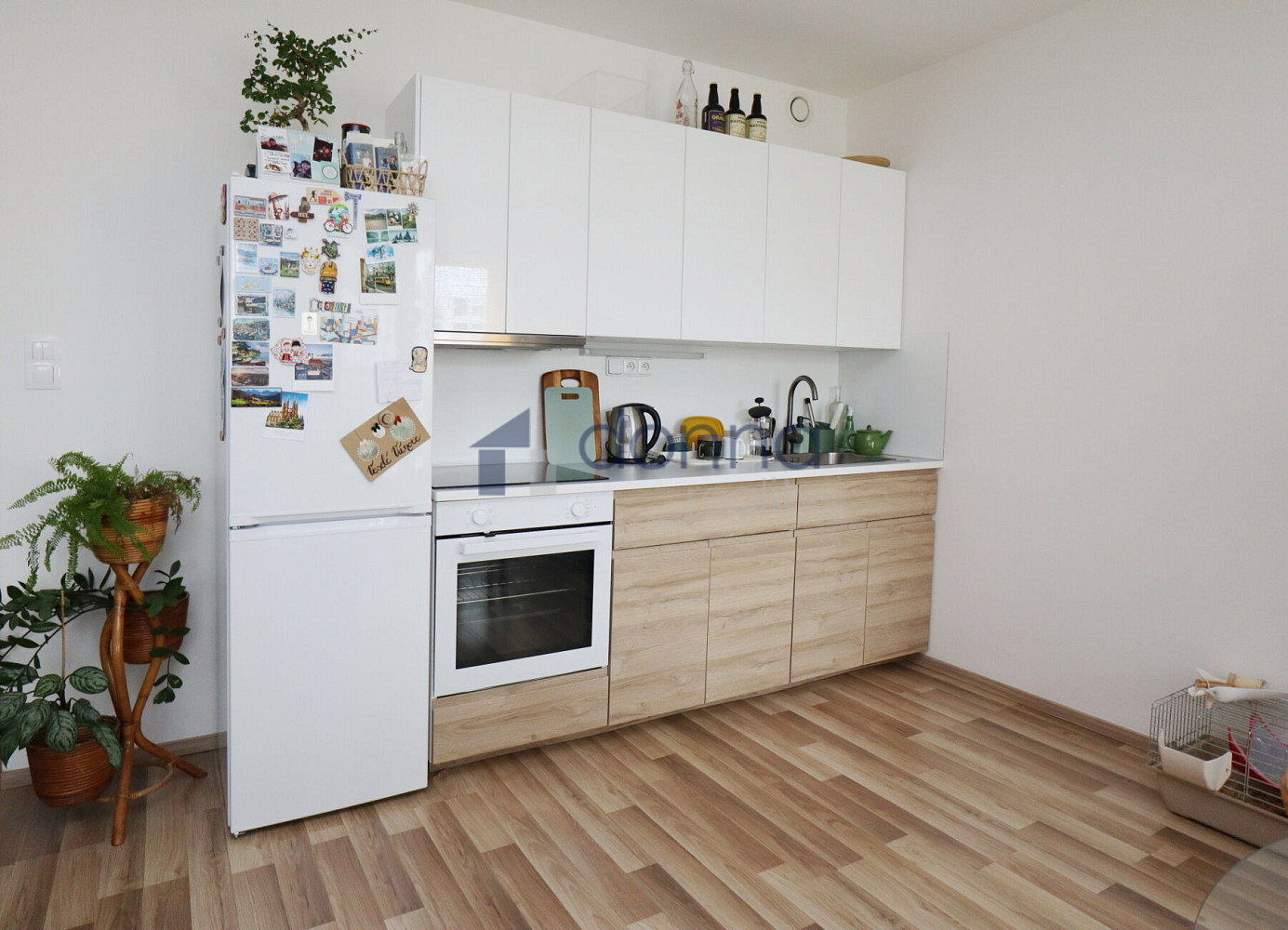 Pronájem bytu 1+kk 33 m² – fotografie 2