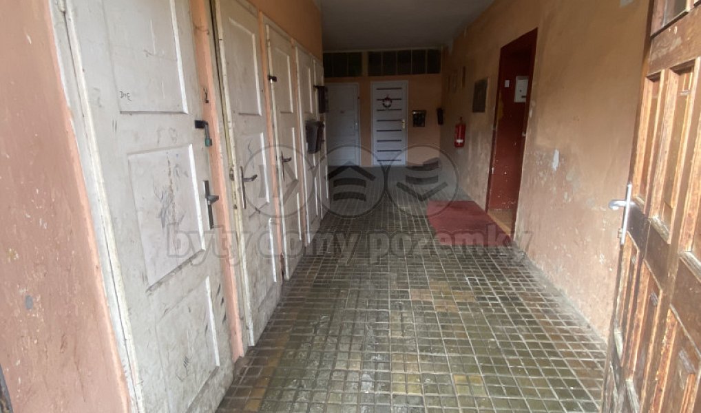 Prodej domu 620 m² s pozemkem 629 m², Vrbno pod Pradědem – náhled fotky 5
