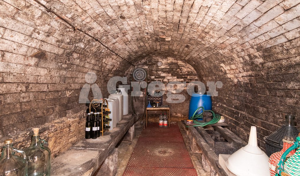 Prodej domu 35 m² s pozemkem 202 m², Bořetice – náhled fotky 14