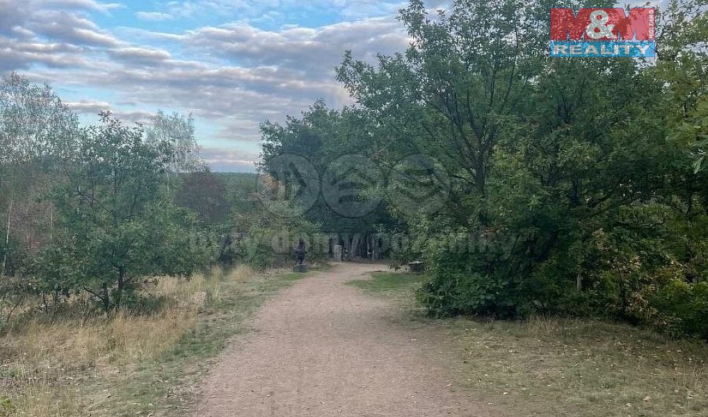 Prodej lesa 7 458 m², Bílina – náhled fotky 2