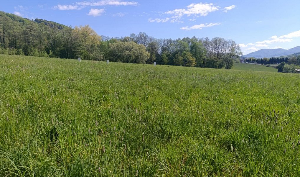 Prodej stavebního pozemku 1 474 m², Lichnov – náhled fotky 4
