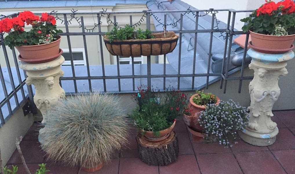 Prodej bytu atypického 164 m², Mikulov – náhled fotky 31
