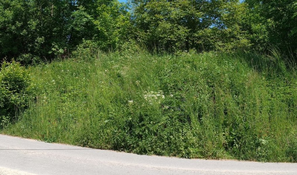 Prodej stavebního pozemku 941 m², Anenská Studánka – náhled fotky 6