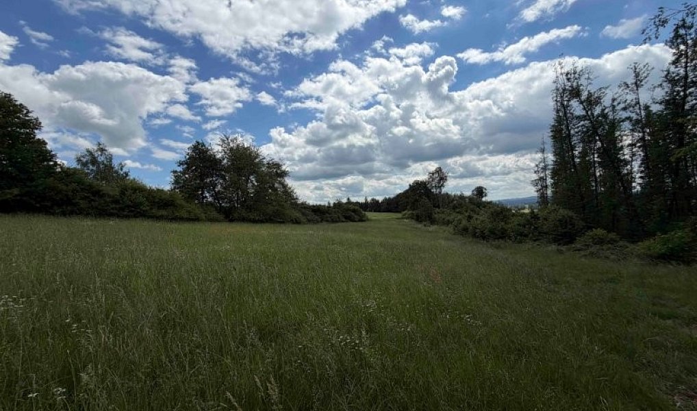 Prodej chaty/chalupy 50 m², Hybrálec – náhled fotky 17