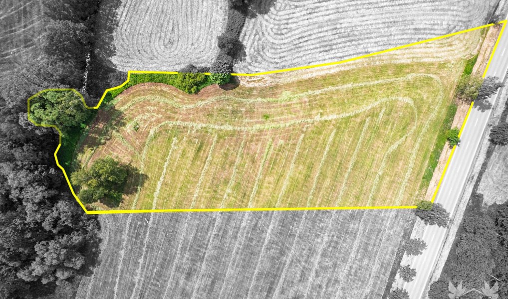 Prodej komerčního pozemku 9 518 m², Stachy – náhled fotky 4