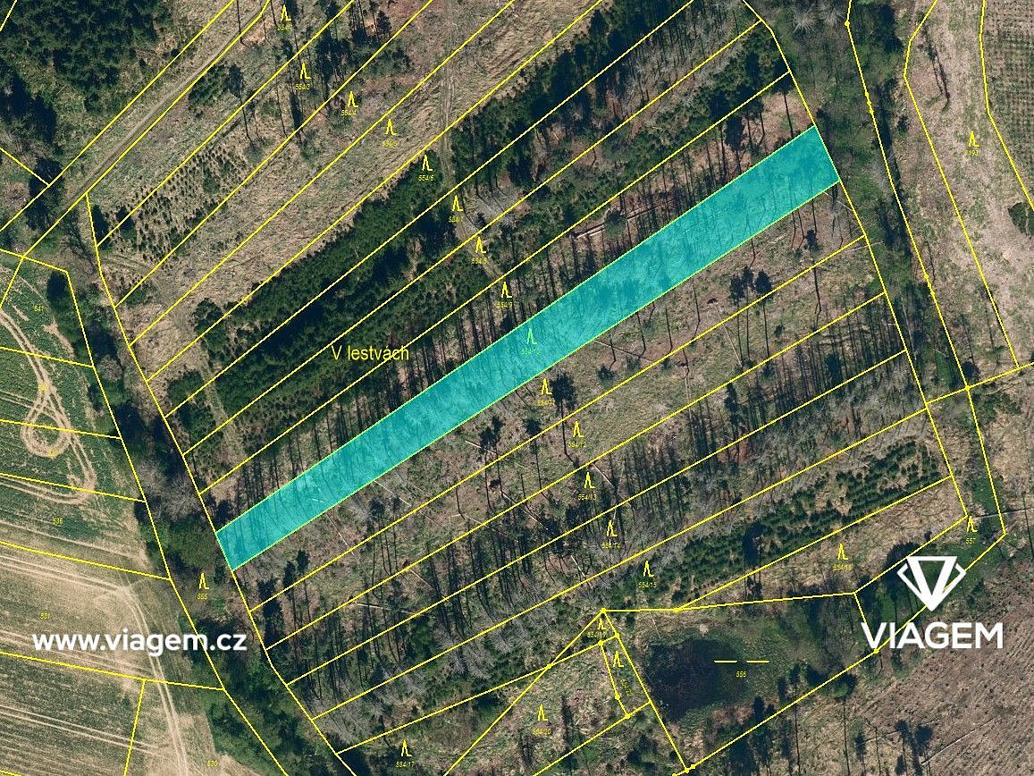 Prodej lesa 948 m² – fotografie 3
