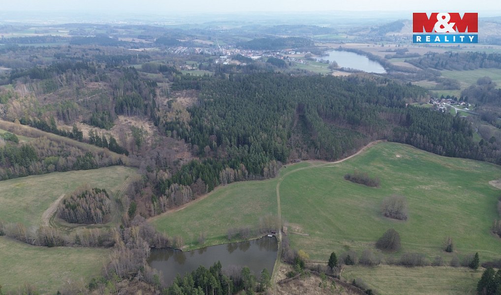 Prodej lesa 7 873 m², Mrákotín – náhled fotky 12