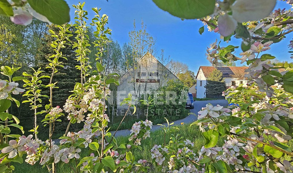 Prodej stavebního pozemku 6 496 m², Slapy – náhled fotky 8